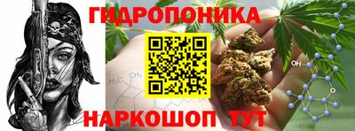 ECSTASY Комсомольск-на-Амуре
