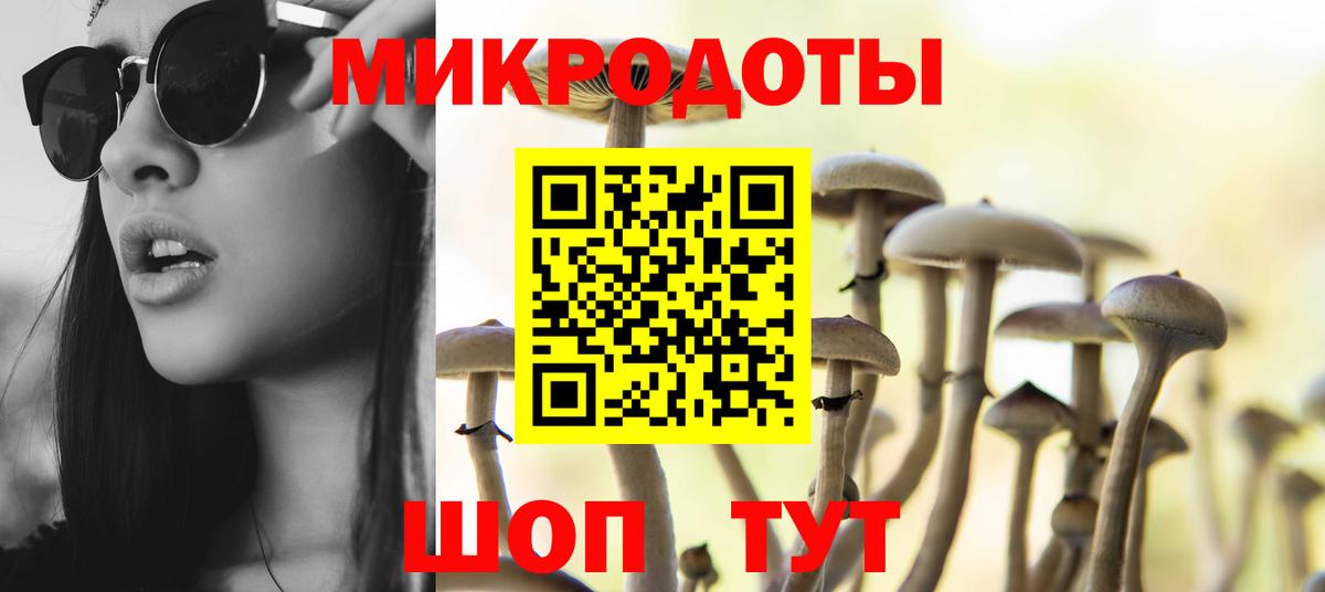 Псилоцибиновые грибы GOLDEN TEACHER  где продают наркотики  Вход с VPN  Ирбит  Псилоцибиновые грибы Psilocybe 